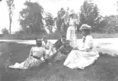 Elin och Sigrid Stenberg, Carolina Wallberg, gift Appeltoft, Louise Schutt, gift Ericsson, Svea Stenberg, gift Wallberg och Louise Sandegren, pianiolärarinna. (A.S.)