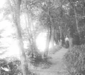 Bilden ur album nr 8.  Gångbanan i Doktorspromenaden.