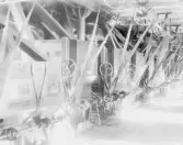 Bilderna är ej med säkerhet från ovan angivna uppgifter, men en personalbild (00330) från FBG:s Valskvarn låg tillsammans med bilderna.