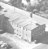 Bilden är ett färgfoto, den är också kraftigt beskuren vid inskanning