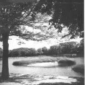 Ätran och Garvareforsen sedd från Ågatan, samt Vallarna och Doktorspromenaden på motsatta sidan.