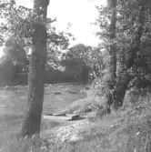 Byggnaden i fonden var bl.a. bostad åt disponenten på slakteriet. Slakteriet var belägget strax bakom huset.