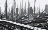 Foto av väldigt många båtar i en hamn, någonstans i nederländerna, 1924-25.