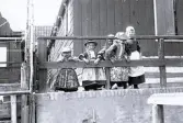 Foto av flickor med speciella kläder och träskor som kännetecknar nederländerna, står vid ett staket och kikar ut, 1924-25.