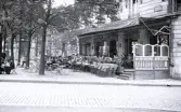 Foto av en gata med ett café och kullerstensbelagd gata, 1924-25.