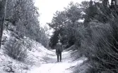 Foto av tandläkare Gunnar Högberg stående på en stig, som ser ut att ha en räls, omgiven av träd och buskar, någonstans vid franska atlantkusten, 1924-25.