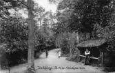 Parti av Stadsparken i Jönköping. På skylten vid stigen står det HERRAR. Vykort postat 1912-12-31.