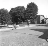 På bilden syns korvkiosken som bl.a. Dahlöf var innehavare till. Vid busshållplatsen står SJ och Stadstrafikens stolpar sida vid sida.