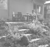 Fru Schutt, fotograferad för Damernas Värld 1944.  Provisorisk korslista/kommunarkivarien