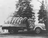 Lastbilen en Volvo Viking köptes ny 1959. Lastbilen kunde förses med en tanken på flaket. Lastbilen användes under dagtid för att köra lera till tegelbruket, och koks och olja med efter ordinarie arbetstid.  Uppgifter Gerahard Gustavsson och boken Falkenberg i backspegeln, sidan 53.