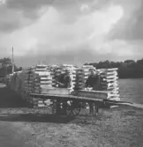 Tillverkning av fisklådor vid Gustaf Johanssons fiskpackeri.