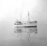 Fiskebåten Certina FG 172. Hon går här med fiskande sommargäster.