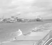 Falkenbergs varv sett från Skreasidan.