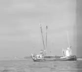 Vid Falkenbergs hamns utbyggnad på 1960-talet, fanns inhyrda danska stenfiskare från Stenfiskarnas sammanslutning, Köpenhamn stationerade i Falkenberg. Bl.a. omfattande spränning av berggrunden på 7m djup vid Mellanrevet. 1094 ton sten togs upp av stenfiskarna och lades vid sandfångarna och pirhuvuden.  OBS det finns bilder än de tre till höger.