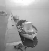 Träsnipor förtöjd vid kajen.