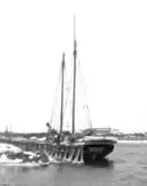Text vid foto. Golden Gate upplagd i Falkenberg 1931, såld 1942 till Kalmar.  På akterspegeln kan man läsa *Golden Gate* *Halmstad*.