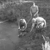 Bilderna märkta Falkenberg.  *Fotosamlingen är fotograferad av fd. turistchefen i Falkenberg (början av 1960-talet) McFee vars son skänkt samlingen till museet.
