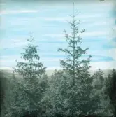 A Fridolf Persson var lärare i Årstad 1904-1912, Fritsla 1912-1920, Släp 1921-27 och Skrea 1927-41. Enl. sonen Einar Persson. A Fridolf Persson hade sitt föräldrarhem i Attarp Ljungby.