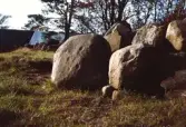 Skålgropar vid utgrävningsområde Sannagård, Vinberg 1990.
