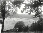 A Fridolf Persson hade sitt föräldrarhem i Attarp Ljungby. A Fridolf Persson var lärare i Årstad 1904-1912, Fritsla 1912-1920, Släp 1921-27 och Skrea 1927-41. Enl. sonen Einar Persson.