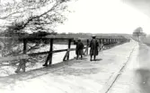 Träbron gick över Ätran strax norr om nuvarande bron (bron för väg nr 767 ). Bron fanns kring sekelskiftet 1900. Personerna på bilden lär vara systrarna Jönsson, döttrar till tullförvaltare Jönsson på St Lars Kyrkogata