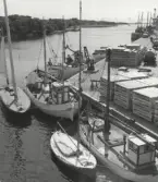 Bl.a. fiskebåtarna FG 8 och SAGA Stafsinge.