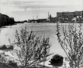 Falkenbergs hamn med Valskvarnen