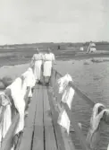Från vänster Tilda och Albertina på bryggan ut till Kallbadhuset.  Första kallbadhuset på Falkenbergs strand. Anlades på 1800-talet. Sedan 