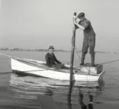Otto Pettersson sittande i båten, Sture P står på en låda. Uppsättning av kilnot för laxfiske vid Karet utanför Morups tånge.