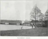 Bild från Hallands Jul 1906.