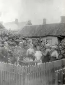 Fr.v. WALERIUS Ernst, WALERIUS Johan Adolf, WALERIUS Hulda, WALERIUS LINDROTH Elin o WALERIUS XXX.