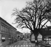 Brogatan, till höger det så kallade 