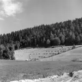 Dalen från Tenhult mot Huskvarna. Här ägorna till Klevarp 1:3 och Hyltan 1:3.