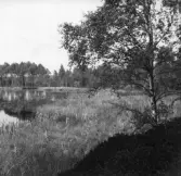 Turbagölen i Rogberga socken.