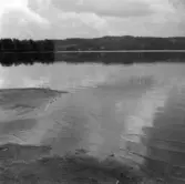 En del av Tenhultasjön.