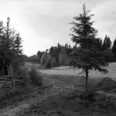 Skog och åkrar vid Fagerslätt.