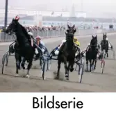 Serie om 31 fotografier som visar diverse vyer på Åbytravet i Åby, Mölndal, år 1998.