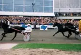 Travlopp på Åbytravet i Åby, Mölndal, år 1998.