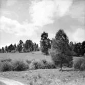 Landskapsvy från Lidhult i Rogberga socken.