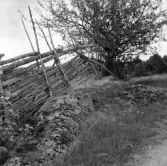 Landskap med en gärdesgård i Rogberga socken.