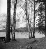 Tenhultasjön vid herrgården i Tenhult.