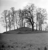 Källarekullen på ägorna till Tenhults herrgård.