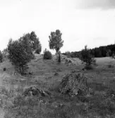 Våeryd i Rogberga socken..