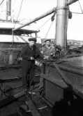 Två sjömän ombord ett fartyg i Gävle hamn, tidigt 1900-tal.