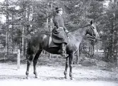 Foto av major Schenström sittande på en häst, 1896 (enligt bildtext i album).