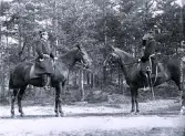 Foto av major Schenström och underlöjtnant Säfwenberg sittande på varsin häst, 1896 (enligt bildtext i album).