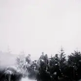 Foto av militärer ute på fältövningar, en häst syns till vänster i bild. Text i album: 