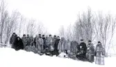 Ett gruppfoto av militärer vid VI. arméfördelningens fältöfningar 1905. Neder-Kalix. Fr v. Lindgren K8, Stålhane, Arpi i14, Svedelius, Huss I23, Stiernstedt I28, Marks von Würtemberg, von Heideman i3, Aschan K8, Dillner i20, Mörcke, Nielsen, Warberg, Duse A4, Michelson i14, Sundelius I19, Adlercreutz K8, Björkman i19, Sandberg fördläk. ,Öhman i20, Hjertström i14, Säfvenberg, Salmén A4 och Westin i28