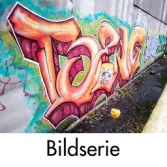 Serie om 100 fotografier som visar graffitimålningar på pappersbruket Papyrus fabriksområde i Forsåker, Mölndal, den 4/11 2014. Fotodokumentationen gjordes under perioden mellan pappersbrukets avveckling och områdets nyexploatering. Området var under denna tid populärt bland ungdomar som ville uttrycka sig konstnärligt med graffiti.