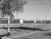 INDUSTRIBOSTAD I SKOGHALL, UDDEHOLM, IDKERBERGET, DOMNARVET, HAMMARBY, KORSNÄS